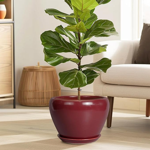 10 Inch Plant Pot - Image 2