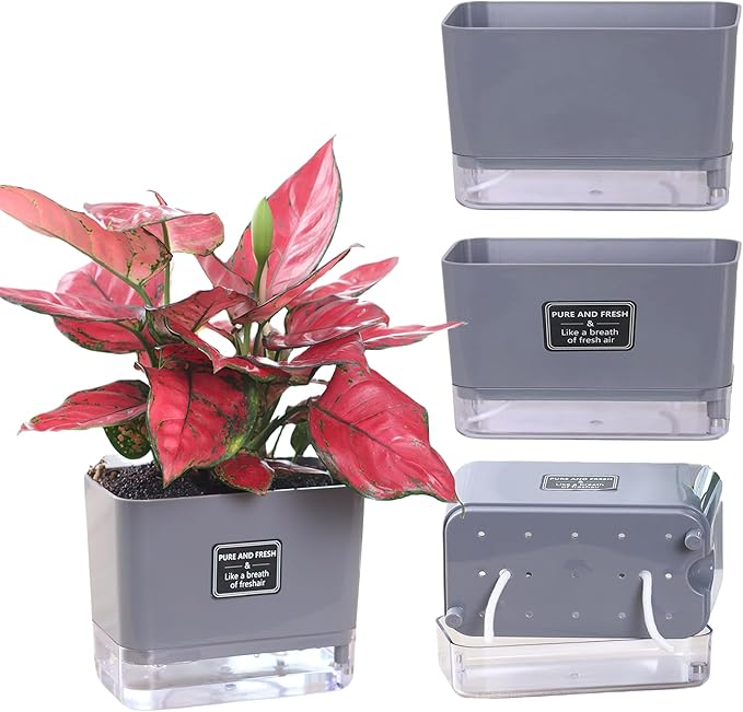 FAMZ Self Watering Pots for Outdoor Plants 4 Pack, Suitable for Indoor and - Image 7