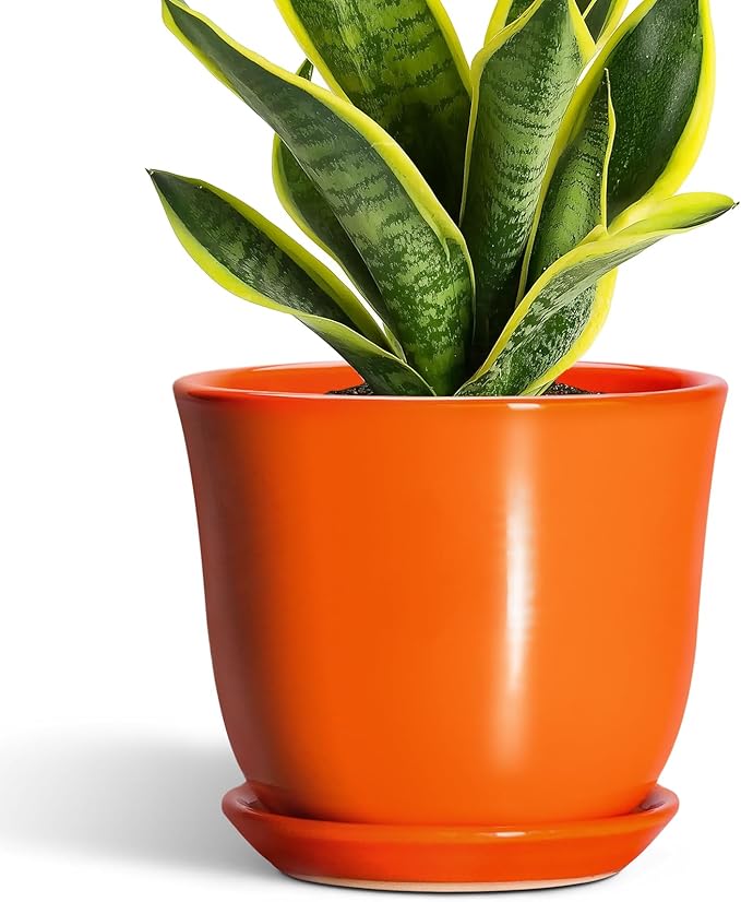 Ceramic Planter by SUNPOTFOR