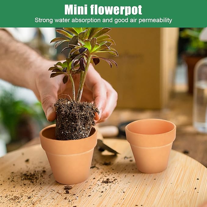 FAMILY 20 Pack 3.15 inch Terra Cotta Clay Flower Pots - Image 4