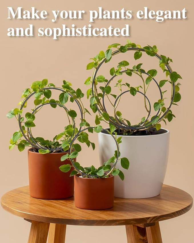 3 Pcs Different Sizes Metal Hoya Trellis, Small Round Indoor Plant Trellis - Image 3