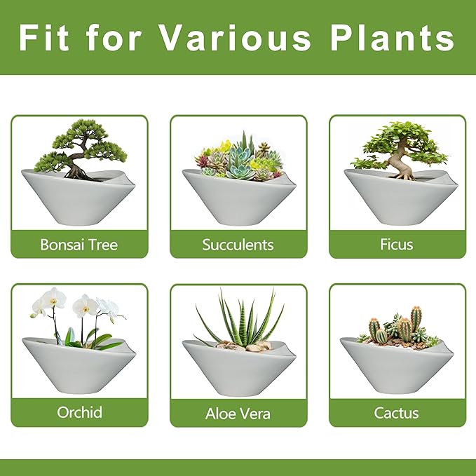 Bonsai Pots 13 Inch - Image 7