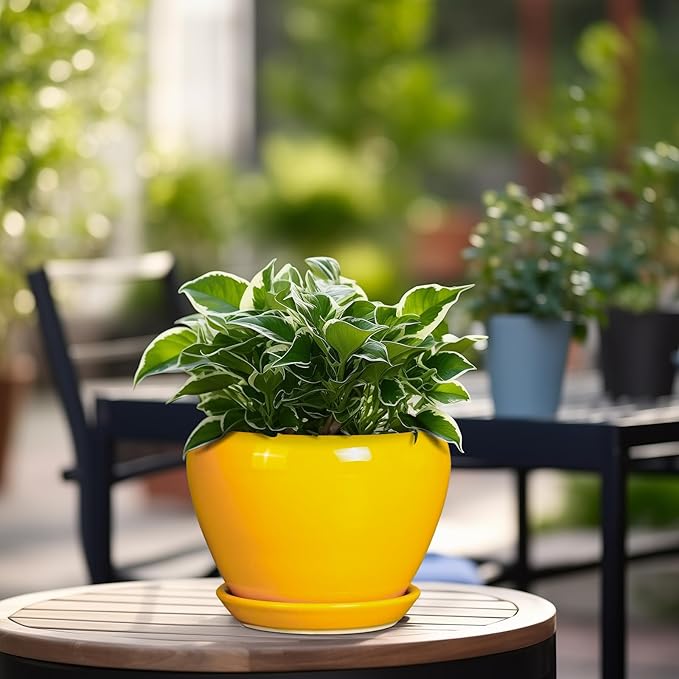 Ceramic Pot for Plants - Image 4