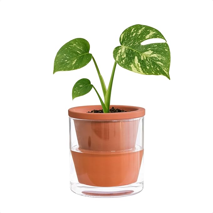 D'vine Dev 4 Inch Design Self Watering Pot by DvineDevPlanterPotsandStand