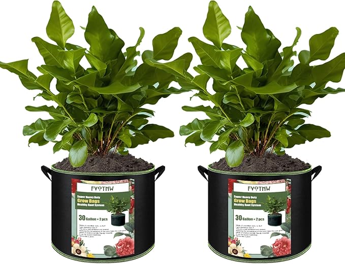 2-Pack 30 Gallon Plant Grow Bags, Thickened Nonwoven Fabric Pots by FVOTNW
