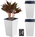 2 Pack Self Watering Planters 10.7" x 6.9" Planter by Planterhoma