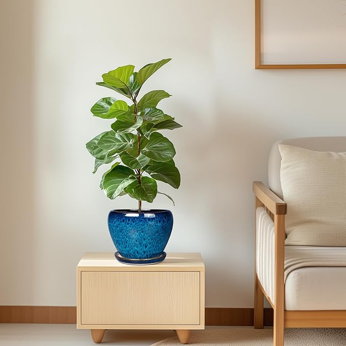 Ceramic Modern Glaze Succulent Planter Pot - Image 8