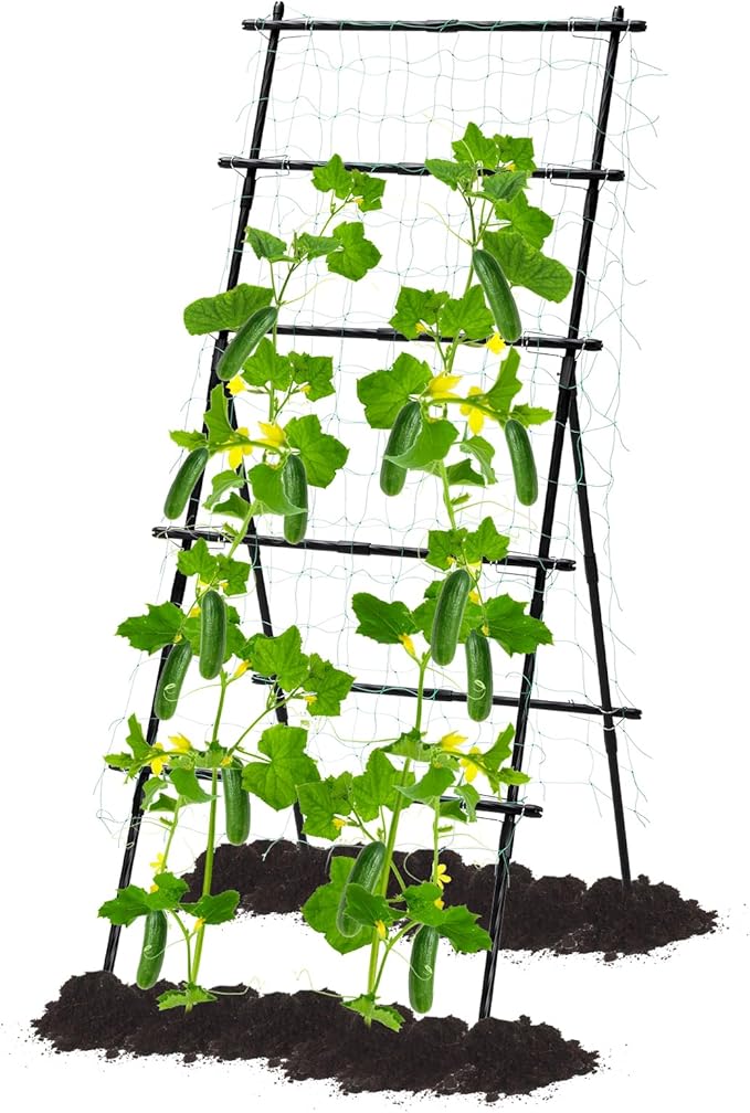 Lalahoni Cucumber Trellis, 6ft Tall Metal Garden Trellis by Thereasonyoulovegardening