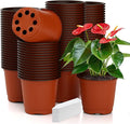 Nursery Pots 100 PCS 6 Inch Plant Pots by Cidenbio