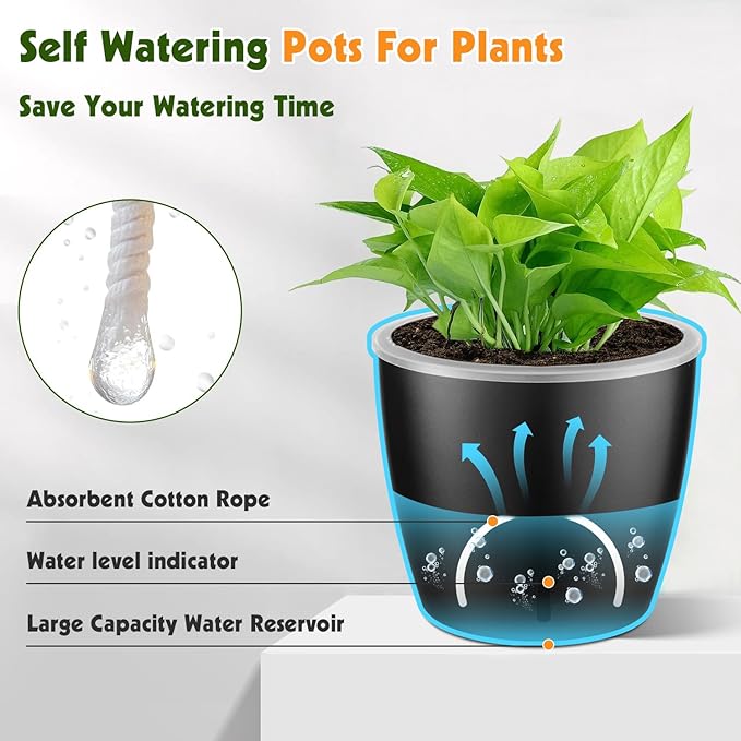 Self Watering Pots for Indoor Plants, Small African Violet Pots - Image 4
