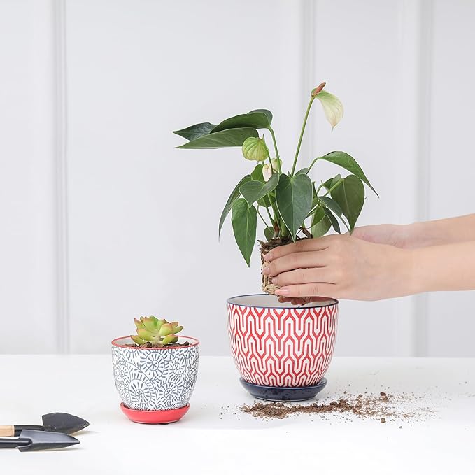 Selamica Ceramic Succulent Pots, 3.5 Inch Small Plant Pots - Image 6