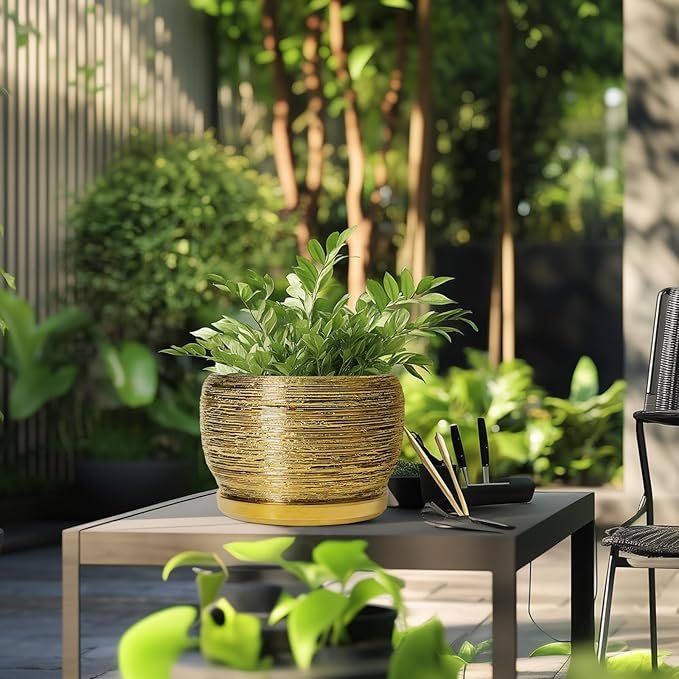 SQOWL Ceramic Planter for Indoor Plants - Image 5