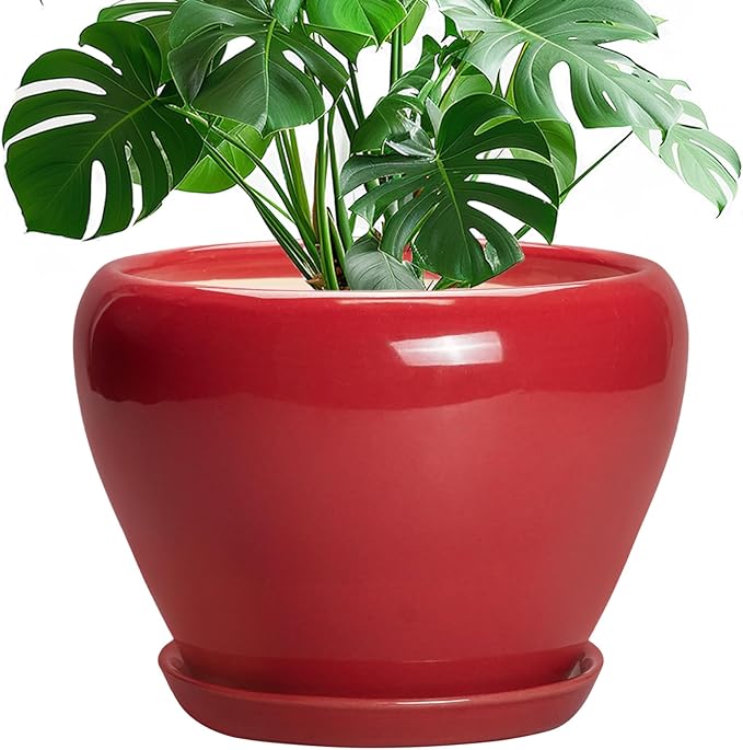 10 Inch Plant Pot by Ceramicfor