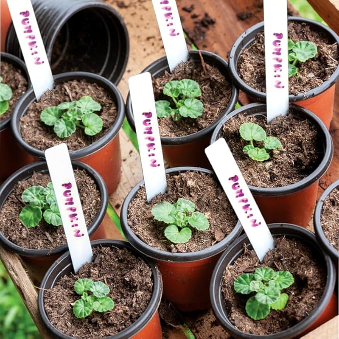 Plant Nursery Pot/Pots 200 Pcs 4" Plastic Small Plants Pots Flower Pots Seed - Image 2