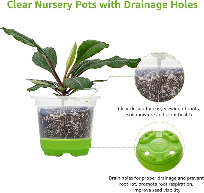 MIXC Thickened Clear Nursery Pots - Image 5