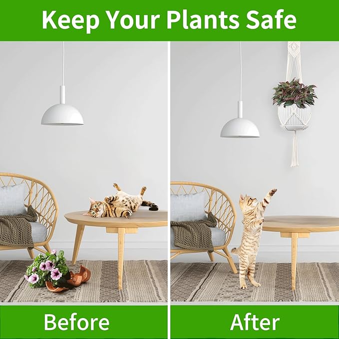 Macrame Plant Hangers - Image 5