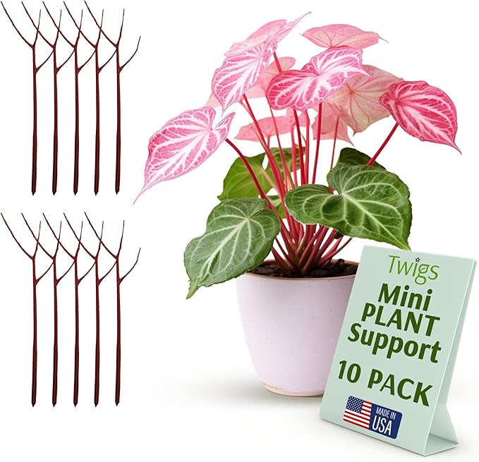 Mini Twigs Plant Support Stakes by TwigsGardenAccessories