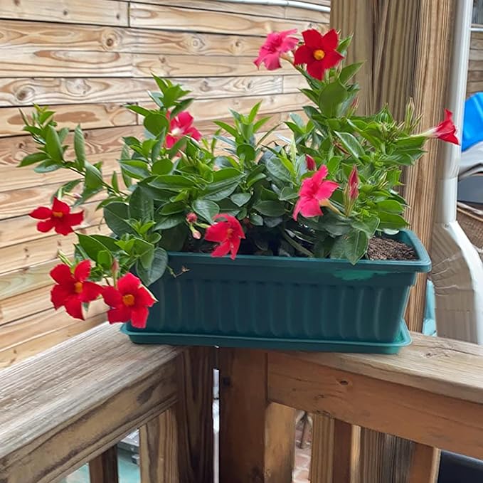 JOIKIT 6 Packs 17 x 7.5 x 5.5 Inch Plastic Window Planter Boxes - Image 6