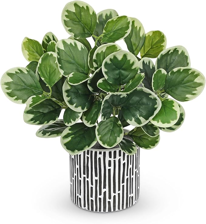 13" Artificial Plants Indoor Small Fake Plant in Ceramic Pot, Silk Plants by VillaComo