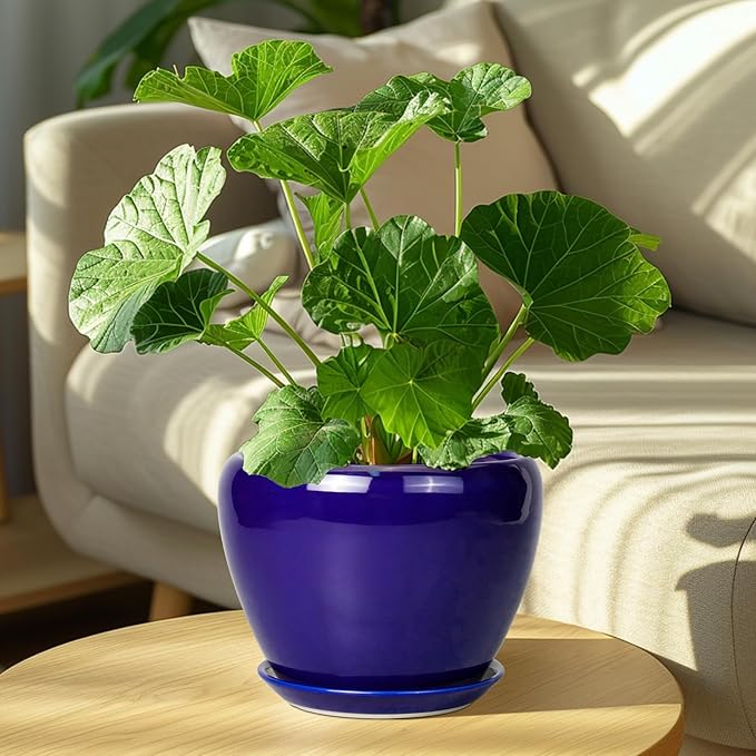Ceramic Plant Pot 8 Inch - Image 4