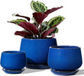 LE TAUCI Plant Pots, 4.1+5.1+6.5 inch, Ceramic Planters by LETAUCI