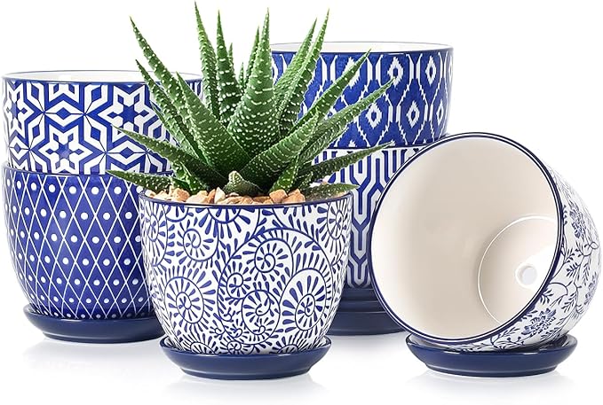 Selamica Ceramic Succulent Pots, 4.6 Inch Small Plant Pots by Selamica