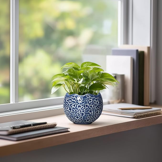 4 inch Plant Pots - Image 5