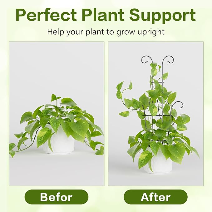 Larger 23.6in Taller Plant Trellis - Image 4