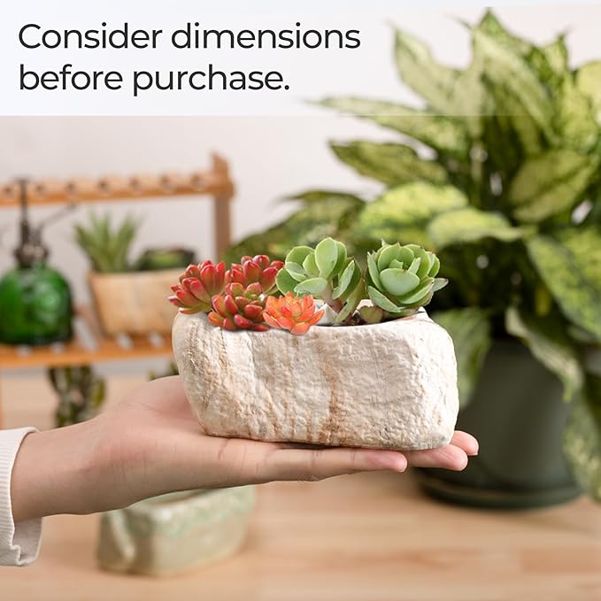 T4U 5.5 Inch Ceramic Succulent Pot Planter - Image 4