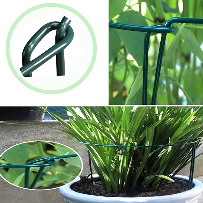 Plant Support Stakes - Image 3