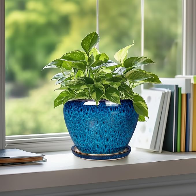 Ceramic Modern Glaze Succulent Planter Pot - Image 5
