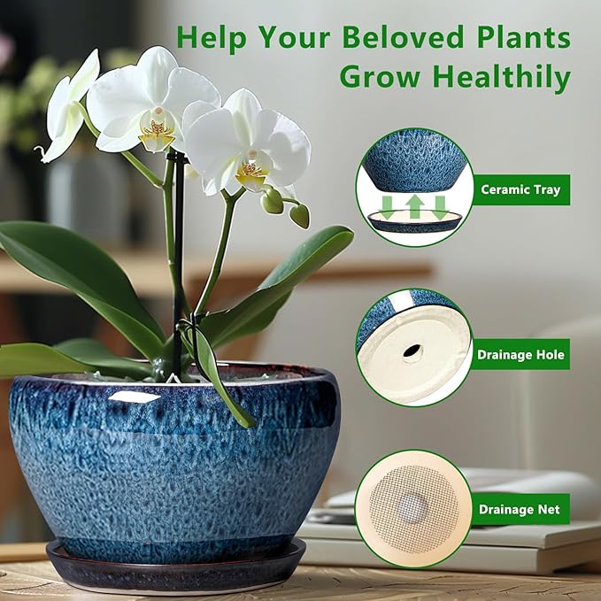 Ceramic Pots for Plants - Image 5