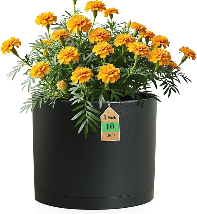 10 Inch Round Plastic Plant Pot by WSMKSZ