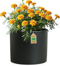 10 Inch Round Plastic Plant Pot by WSMKSZ