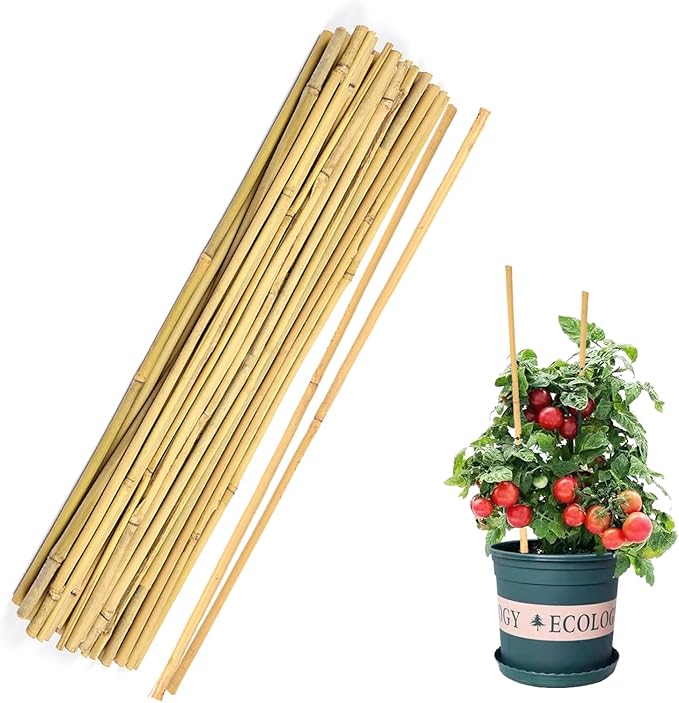 40pcs Natural Bamboo Sticks for Indoor and Outdoor Plants, 16 Inch Plant by Cambaverd
