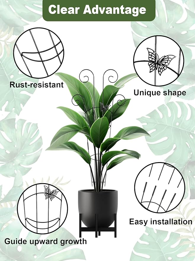 Metal Butterfly Trellis for Climbing Plants Indoor, 4 Pack 30 Inch Taller - Image 4