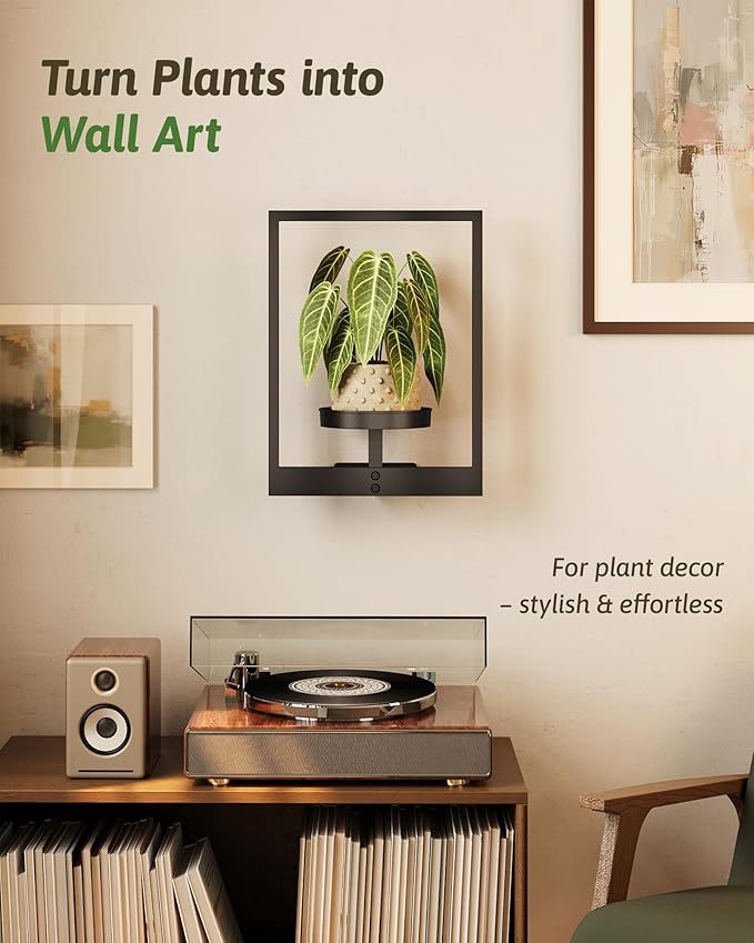 Wall Plant Holder Wall Planters - Image 2