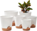 FaithLand 6-Pack White Self Watering Planter Pots by FaithLand