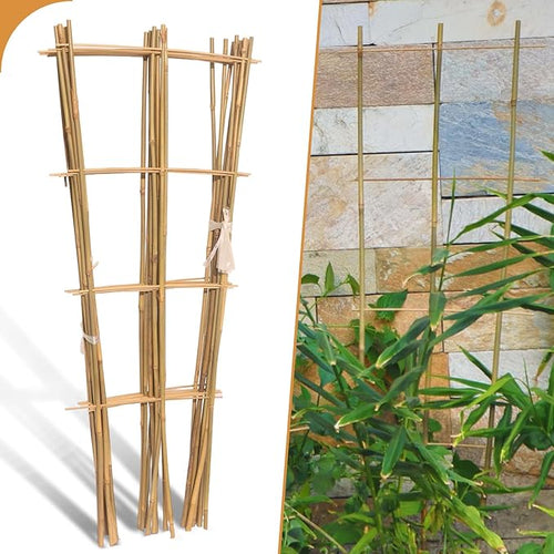 10 Pack 3ft Bamboo Trellis for Climbing Plants by Biotolot