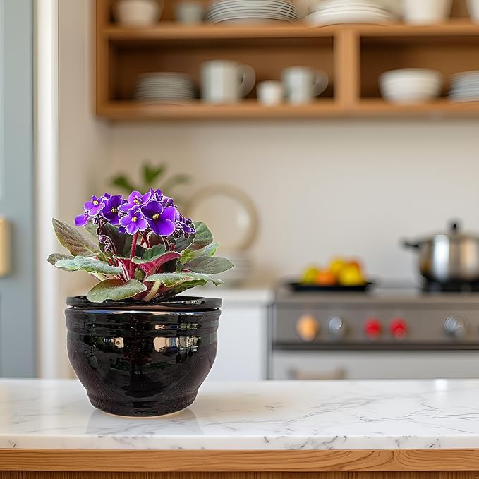 African Violet Pots Self Watering Round Ceramic Violet Pot - Image 9