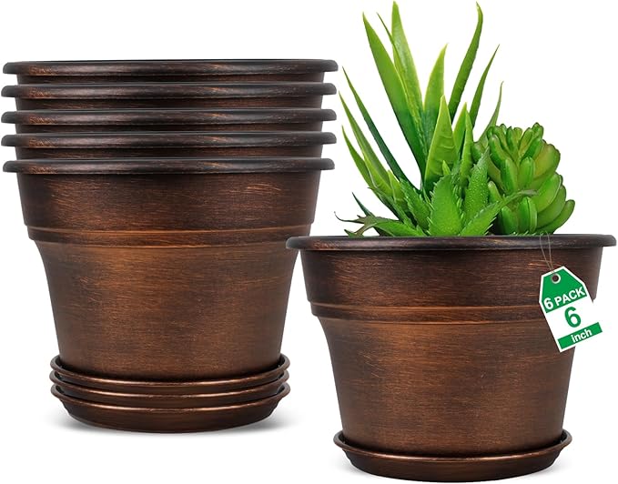 Plant Planters Pots Set of 6 Pack 6 Inch, Plastic Flower Pot by Fodetyff