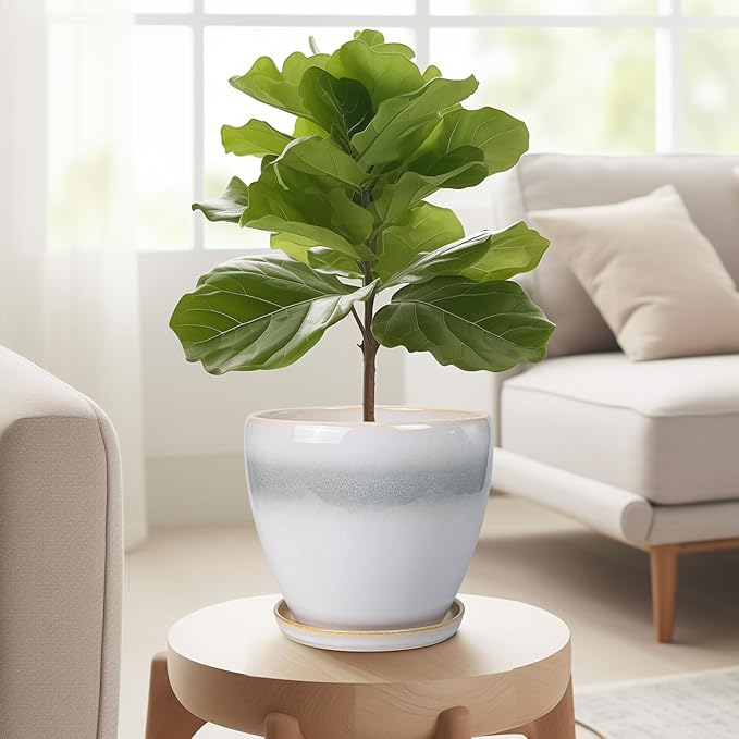 6.3 Inch Plant Pot - Image 5