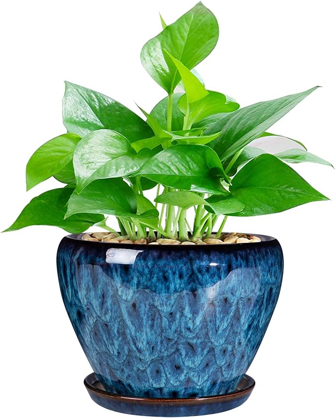Ceramic Modern Glaze Succulent Planter Pot by Ceramicfor