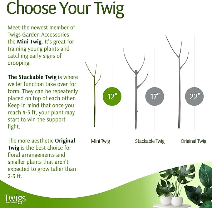 Mini Twigs Plant Support Stakes - Image 5