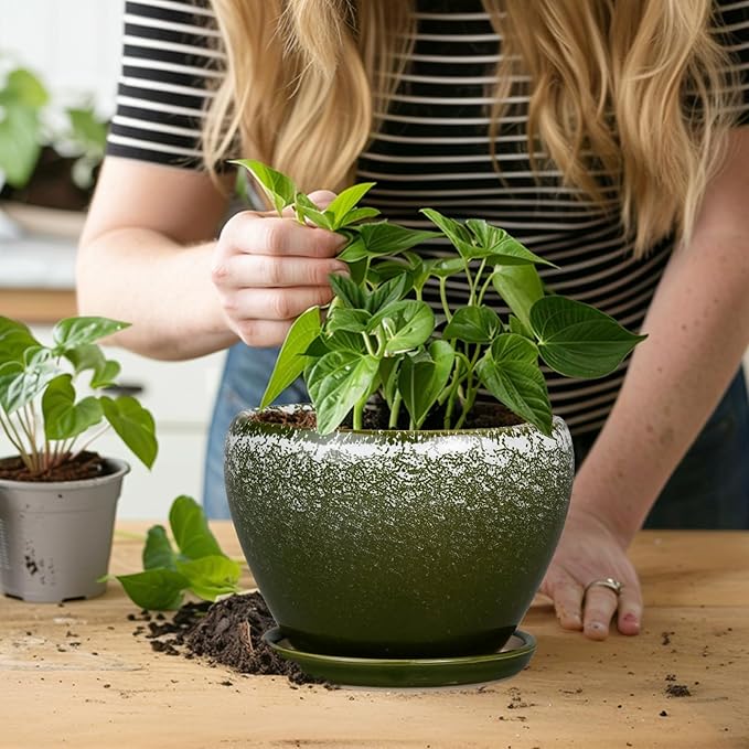 6 Inch Plant Pot - Image 7