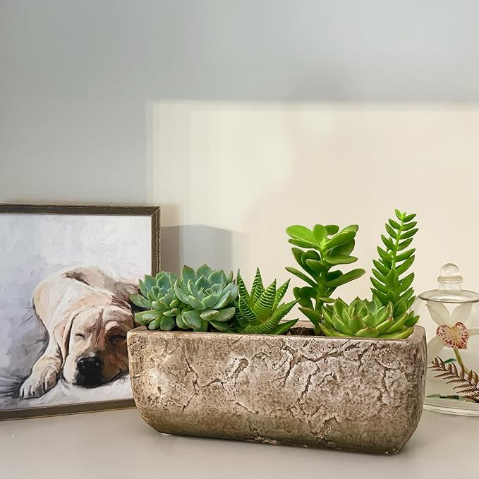 Classic Home and Garden Dakota Rectangular Planter Box w/Drain Plug - Image 3