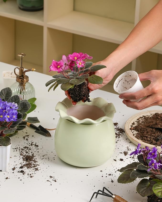 Self Watering Plant Pot, 6 Inch African Violet Pots Maintenance, Ceramic - Image 6