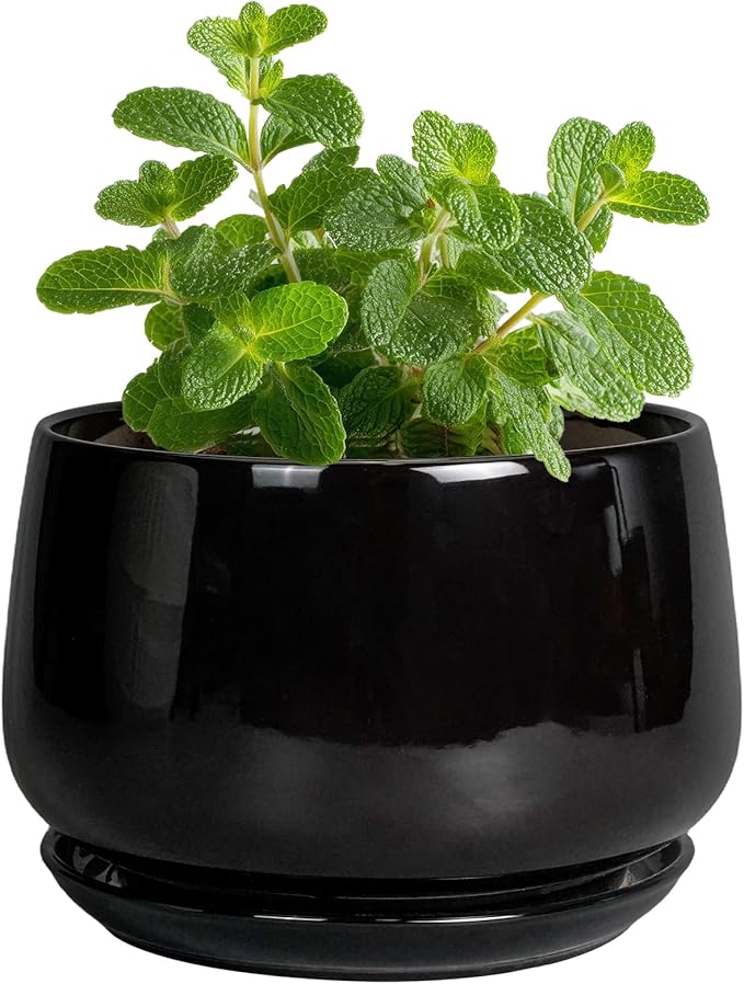 G EPGardening Small Ceramic Planter by GEPGardening