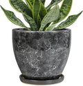 6.3 Inch Plant Pot by EPFamily