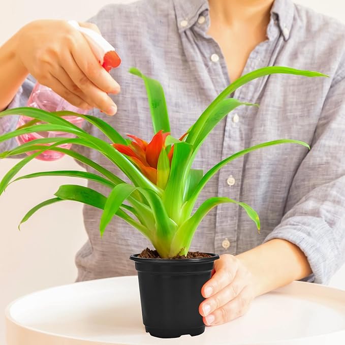 120 Packs Flexible Plastic Nursery Pots, 4 Inch Thickened Soft Plastic Pots - Image 7
